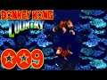 Eiskalte Gewässer ● #09 ● Donkey Kong Country