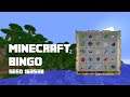 Minecraft Bingo 3.1 - Seed 163538