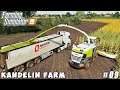 Plowing with new tractor, harvesting corn for silage | Kandelin Farm | Farming simulator 19 | ep #09