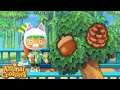 Animal Crossing: New Horizons | Autumn is coming: Acorns, Pine cones & New DIY Recipes- Gameplay ITA