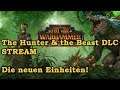 Der neue DLC im  STREAM - NEUE EINHEITEN - Total War. Warhammer 2 deutsch ExplodingHamster