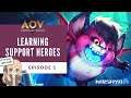 AOV 001. Learning Support Heroes | Arena of Valor