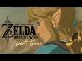 CHEF BOYARDEE BIRB | Legend of Zelda: Breath of the Wild | PART THREE