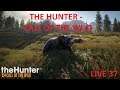 THE HUNTER - CALL OF THE WILD LIVE 37 4/4 REDIFFUSION 12/08/2019- LET'S PLAY FR PAR DEASO