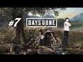 Days Gone - Lost Lake's Trust