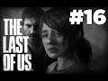 The Last of Us - Bölüm 16 : Ateş Böceklerine Yolculuk