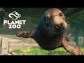 PLANET ZOO - NOVA DLC - AQUATIC PACK - Iniciando o Zoológico com FOCAS e PINGÜINS