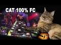 MY CAT GOT 100% ON A SONG - A Typical UKOG Stream #5
