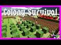 Colony Survival Season 2 - Ep 01: A New Start