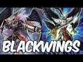 Black wings vs Assault mode! (Yugioh TCG)