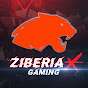 Ziberia X Gaming