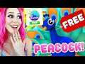 How to get a FREE PEACOCK In Roblox Adopt Me!