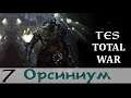 TeS Total War 2.02 - Орки отбросят всех врагов! (Заказ)