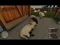 Farming Simulator 22 (PC)(English) #24 Sheep & Cow