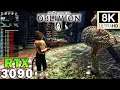 ►The Elder Scrolls IV: Oblivion in 8K | Maximum Graphics | RTX 3090