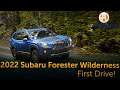 2022 Subaru Forester Wilderness: First Drive