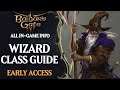 Baldur’s Gate 3 Builds: Wizard Class Guide