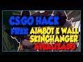 CS GO: HACK ATUALIZADO INDETECTÁVEL - AIMBOT / WALLHACK / SKINCHANGER