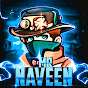 Mr Naveen