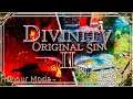 Divinity Original Sin 2 | Honour Mode Walkthrough | Part 293 School's Out