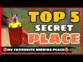 Top 5 Secret Place FreeFire || Part-13 || Rank Push Tips And Tricks Free Fire -4G Gamers