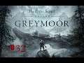 ESO: Greymoor #032 - Gefahr in den Jarltümern (Part 2)
