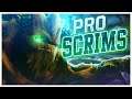 PRO GROVER SCRIMS - Paladins Competitive