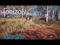 Horizon Zero Dawn Ep 31 - Banuk Camp