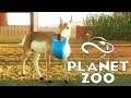 Adding Antelopes! - Planet Zoo - Part 7