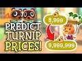 Animal Crossing New Horizons: PREDICT TURNIP PRICES (How To Know When To Sell Turnips! Stalk Market)