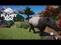 Planet Zoo: SakuraZoo: Qui veut mon beau Tapir?? Enclos Tapir de Malaisie, Malayan Tapir #38