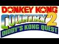 Flight of the Zinger (Restored) [1HR Looped] - Donkey Kong Country 2: Diddy's Kong Quest Music