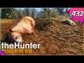 The Hunter Call Of The Wild #432  - Bärchenzeit [Gameplay | Deutsch]