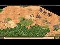 Age of Empires II HD 93