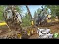 CHEGAMOS NA ÁREA DE DESMATAMENTO | Farming Simulator 17