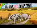 Increasing Productivity of Pigs From Zero, Harvesting Corn | Farming Simulator 20 Animals Farm
