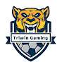 Triwin Gaming