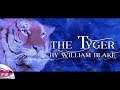 Guild Wars 2 | The Tyger | The Krytan Herald