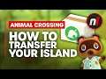 How to Transfer Your Animal Crossing Island to a New Switch Console Easily & Safely