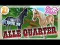 ALLE QUARTER PFERDEKAUF! AMERICAN QUARTER HORSE | Star Stable [SSO]