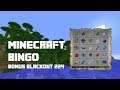 Minecraft Bingo 3.1 - Bonus Blind Blackout 224