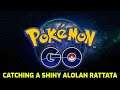 Pokémon GO - Catching a Shiny Alolan Rattata
