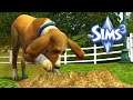 Psia poszukiwaczka | Sims 3 Twórcy Robotów #15 (finał)