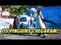 OS PINGUINS-REIS CHEGARAM no Zoológico Aquático - Planet Zoo Aquatic Pack
