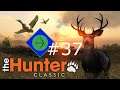 Timbergold Redemption | theHunter: Classic #37