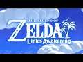 Link's Awakening (Not For Kids) Part 36 (End)