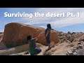 Surviving in the desert part 1 | #Shorts #Surviving #desert #Mojave #dessert #funny #Joshuatree