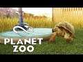 Tiny Tortoises! - Planet Zoo - Part 5