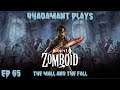 Project Zomboid - The Mall and The Fall // EP65