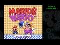 2HoP - Mario & Wario